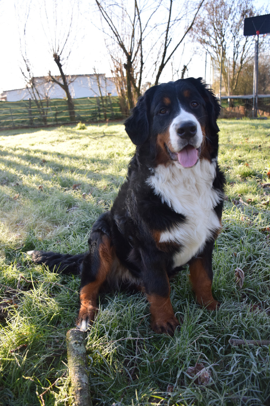 Astr'aëla Des Pattes d'Oust