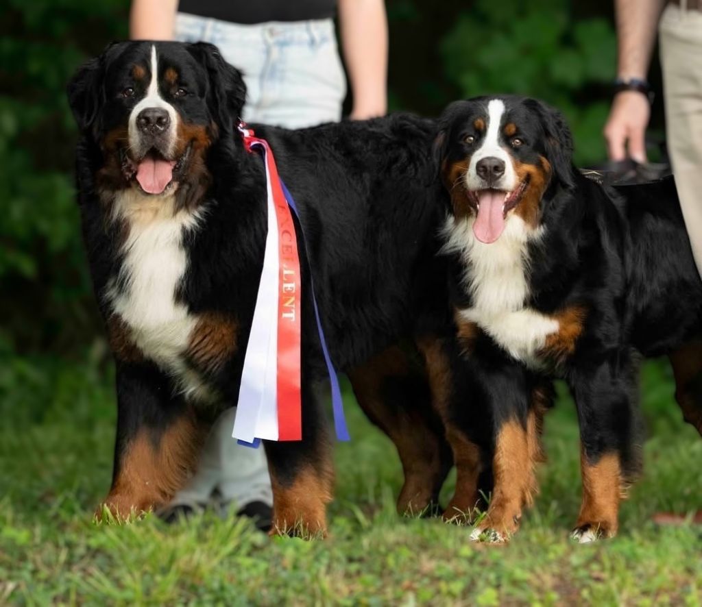 CHAMPIONNATS DE FRANCE 2025