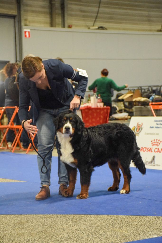 CONCOURS ASTR'AELA DES PATTES D'OUST