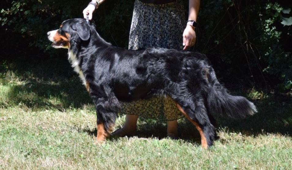 CONCOURS VOLGA EMOI DES FARANDOLES DES NEIGES